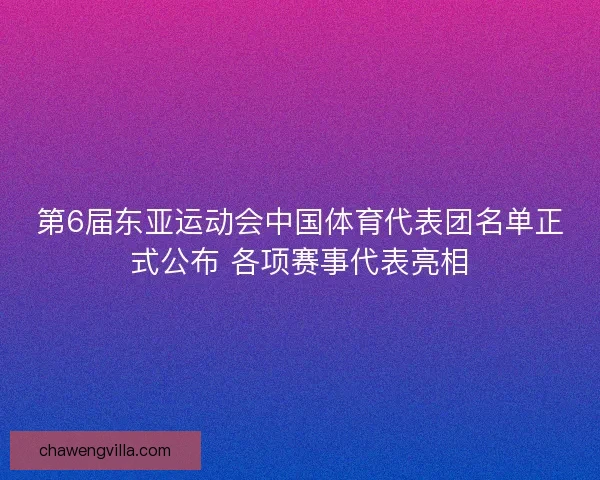 第6届东亚运动会中国体育代表团名单正式公布 各项赛事代表亮相