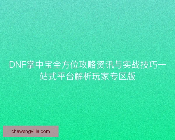 DNF掌中宝全方位攻略资讯与实战技巧一站式平台解析玩家专区版